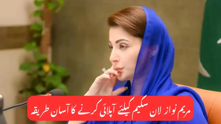 CM Punjab Loan Scheme 2025