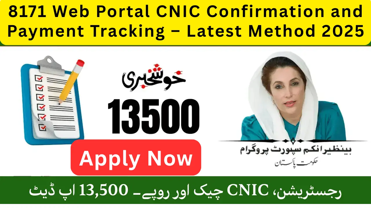 How to Check CNIC and Payments Online via 8171 Web Portal in 2025 1