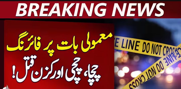 لڑکے نے اپنے چچا کو قتل کردیا